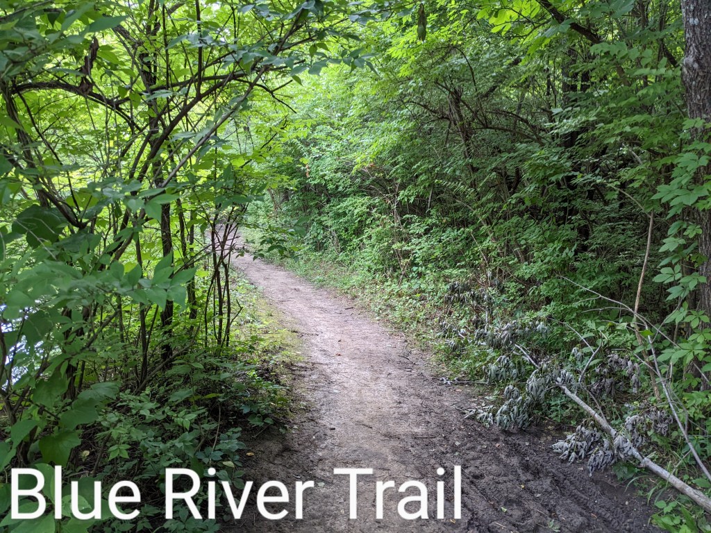 Blue river trail: A perfect first-timer MTB trail.